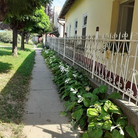 Marika Vendeghaz Apartment Abádszalók Exterior foto