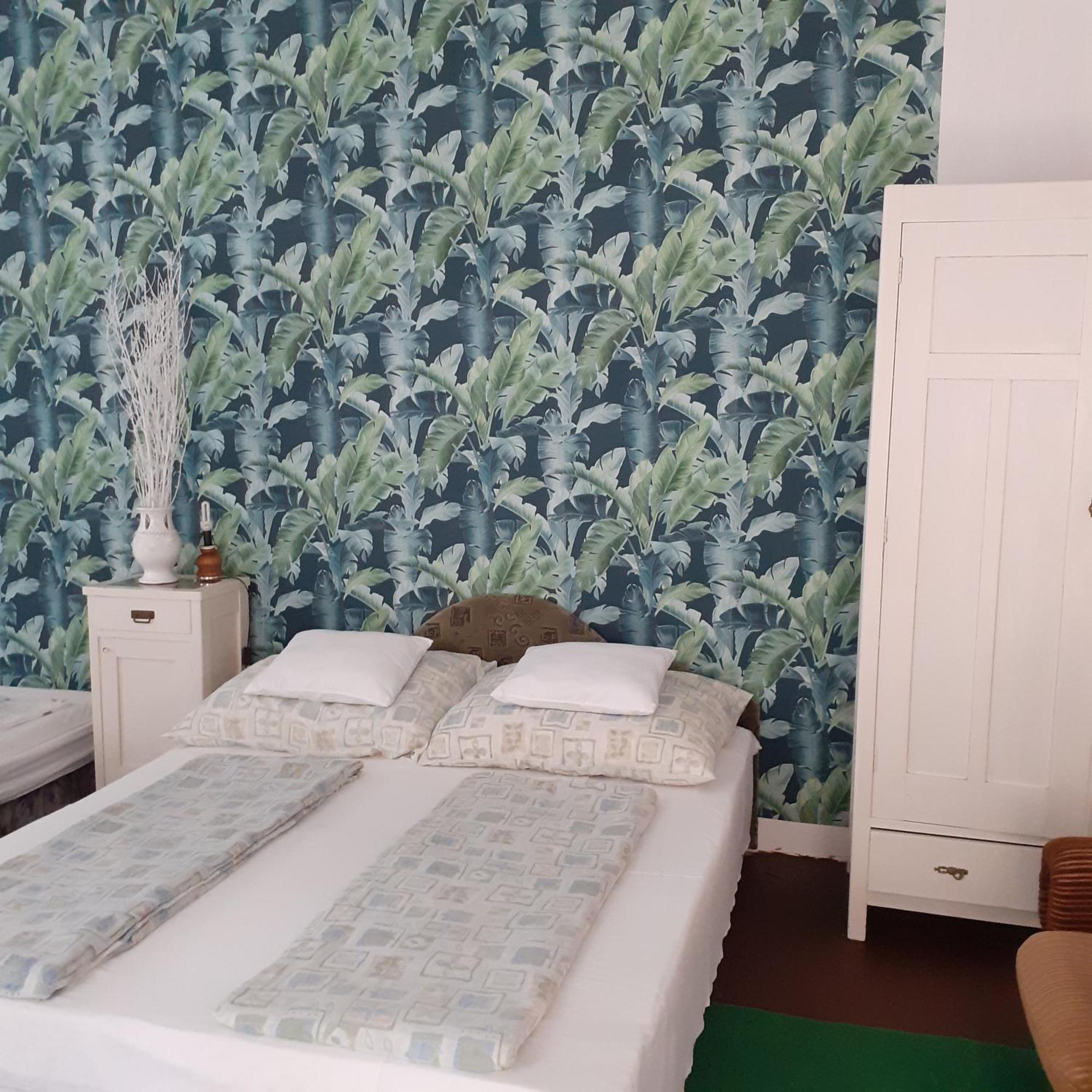 Marika Vendeghaz Apartment Abádszalók Cameră foto