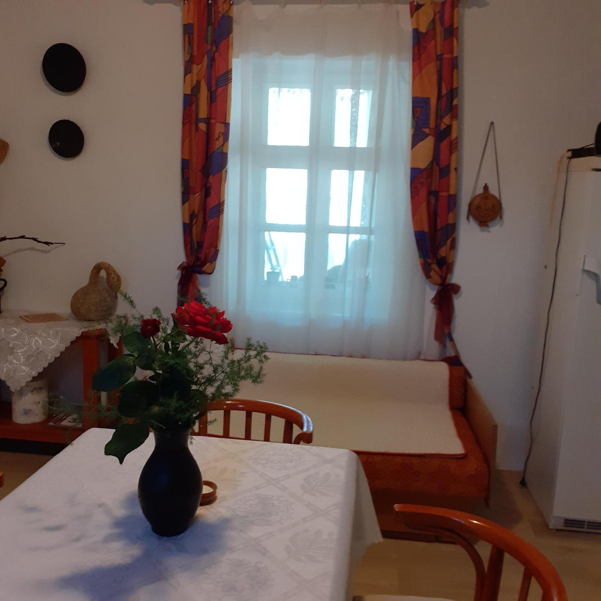 Marika Vendeghaz Apartment Abádszalók Exterior foto